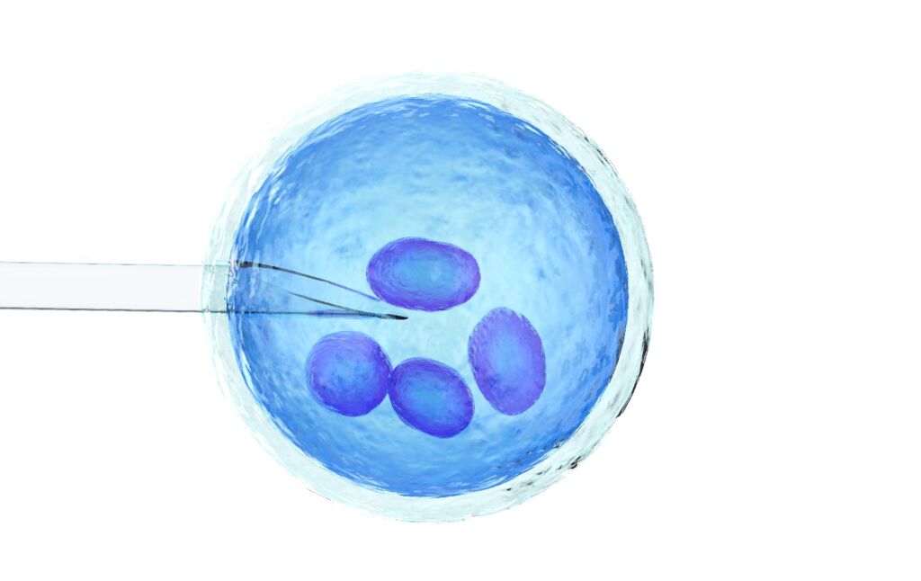 ivf treatment center in kerala