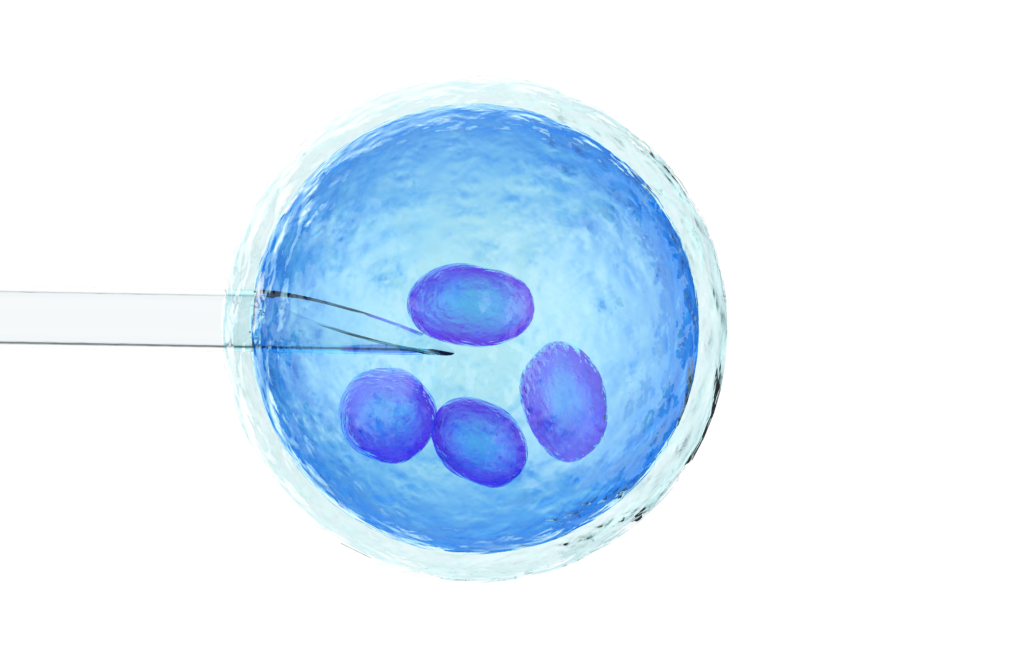 ivf