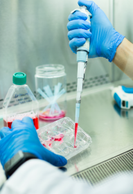 Donor Egg Donor Sperm Programs 2